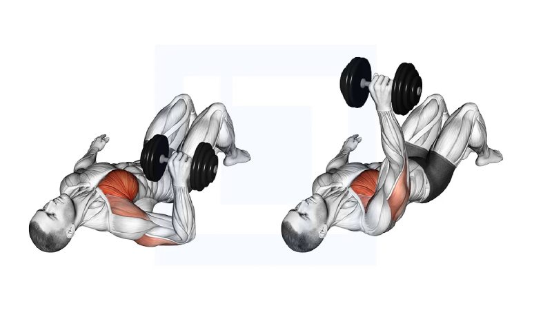 حرکت Dumbbell Single Arm Floor Fly