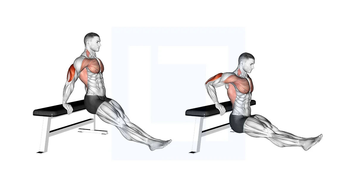 Straight leg bench dip