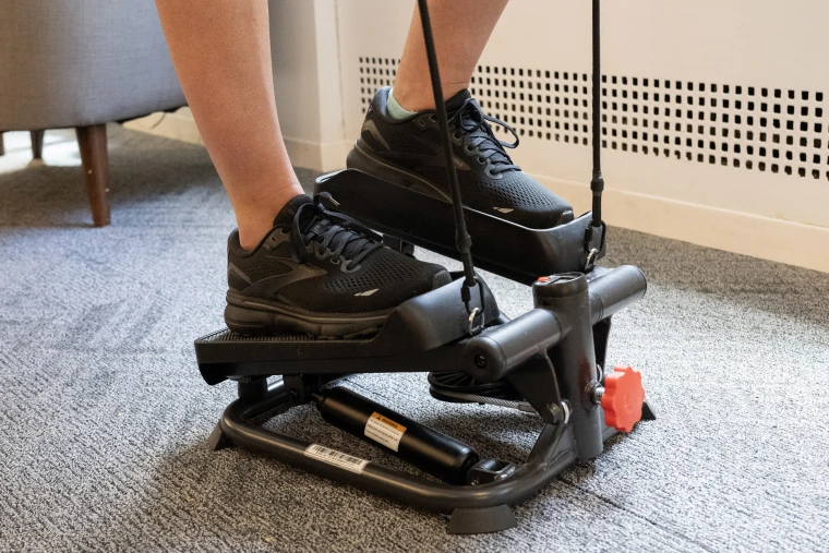 Professional Mini Stepper Digital Stepper